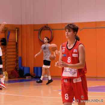 Debuttano in casa BCLucca e Bama contro Cecina e Virtus Siena - NoiTV - La vostra televisione