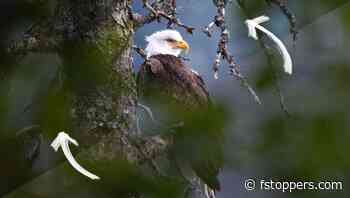 I Didn't Believe the Hype Until I Tried AI Noise Reduction Myself