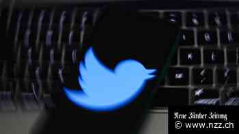 Ein Whistleblower erhebt schwere Vorwürfe gegen Twitter – davon könnte Elon Musk profitieren