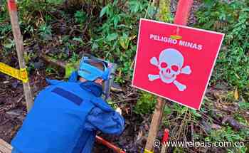 La nueva estrategia educativa frente al riesgo de minas antipersonal en el Valle - El País Cali