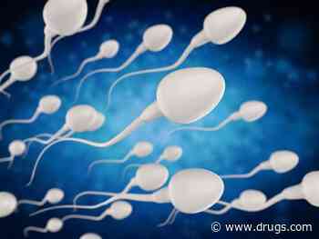 Weight Loss Tied to Better Sperm Count, Concentration