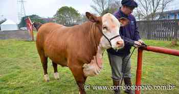 Expointer: Parque de Exposições já abriga 970 animais em Esteio - Correio do Povo