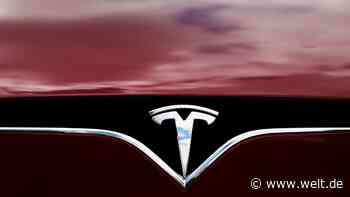 Tesla-Fans testen Autopilot jetzt an den eigenen Kindern