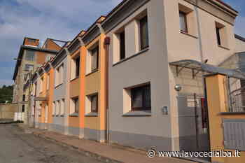 Immigrati e lavoro nei vigneti: qual è la situazione ad Alba, Langhe e Roero? - LaVoceDiAlba.it