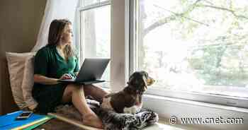 Quiet Quitting: The Work-Life Debate Is Having Another Viral Moment     - CNET