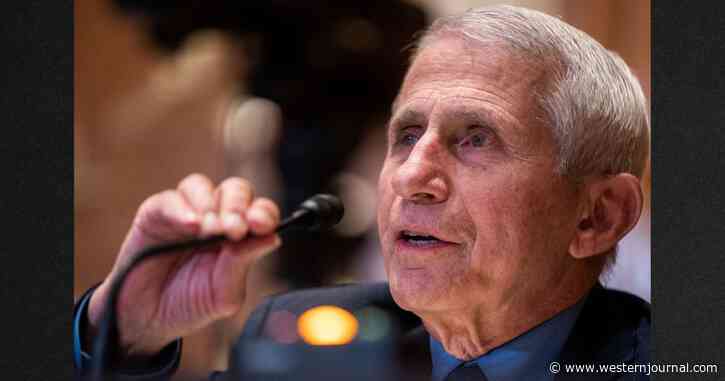 Senator Tells HHS to 'Immediately' Secure Fauci's Personal Devices, 'Burner Phones,' Text and Call Records