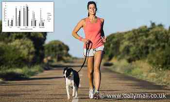 Dogs with more active owners 'get more exercise'