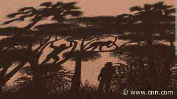 A 7 million-year-old practice set our ancestors on the course to humanity, new study finds