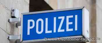 Traunstein: Hunde gehen aufeinander los: Zeugen gesucht - Traunsteiner Tagblatt