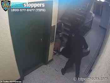 16-year-olds shoved down NYC apartment stairs and robbed - TDPel Media