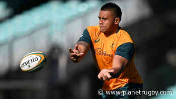 Allan Alaalatoa: Wallabies pack looking to perform against the Springboks - planetrugby.com