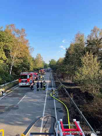 Feuerwehr Marl beim Waldbrand an BAB 31/ B 224 im Einsatz - Marl - www.lokalkompass.de