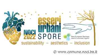Festival Esseri Urbani Spore. Dichiarazione Assessore Angelica Intini - Comune di Noci
