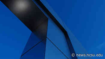 SPIA's Griffin Named Fulbright Distinguished Chair | NC State News - NC State News