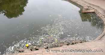 Cleethorpes Boating Lake closed until further notice as drought continues - Grimsby Live