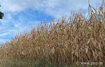 Dürre macht Landwirten im Kreis Passau zu schaffen - Passauer Neue Presse - PNP.de