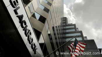 Finanzunternehmen: US-Bundesstaat Texas will keine Geschäfte mit „Energie-Boykotteuren“