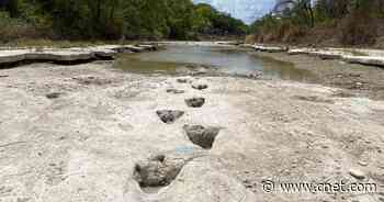 Hidden Dinosaur Tracks Emerge in Texas Drought     - CNET