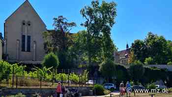 Zeitz beteiligt sich an Fotowettbewerb: Die Stadt Zeitz braucht viele Stimmen - Mitteldeutsche Zeitung