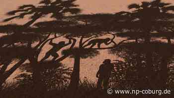 Evolution - Vormenschen liefen schon vor Millionen Jahren aufrecht - Neue Presse Coburg