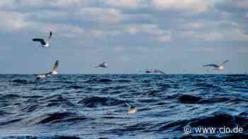 Die Vermessung der Meere - CIO