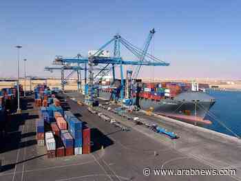 Dubai's DP World to build $80m logistics park in Egypt - Arab News