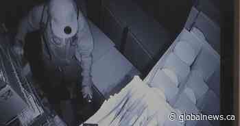 Cannabis store robberies on the rise in Calgary: police