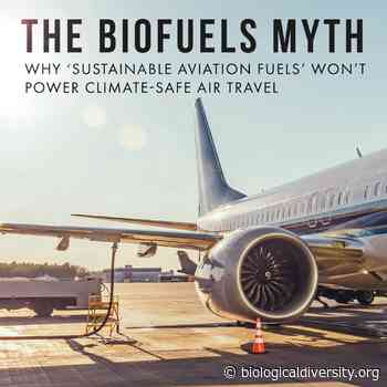 Biden's 'Sustainable Aviation Fuel' Goals Mired in Myth: Report - Center for Biological Diversity