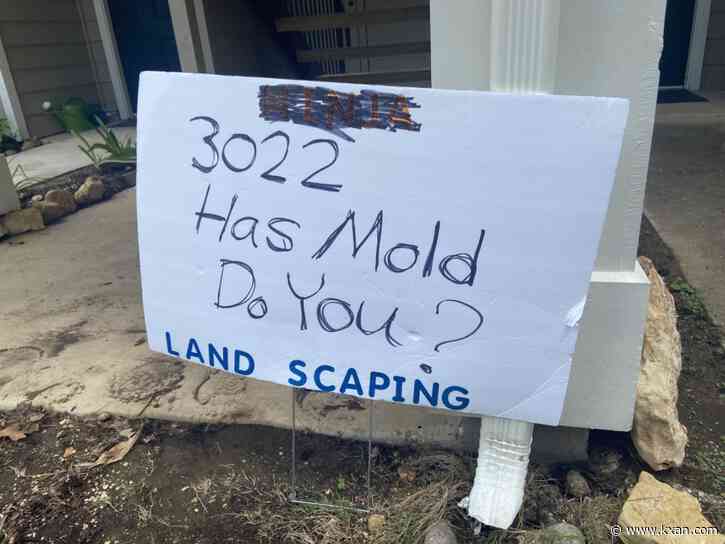 'I've spent probably $2k': What to do if you're a renter and find mold