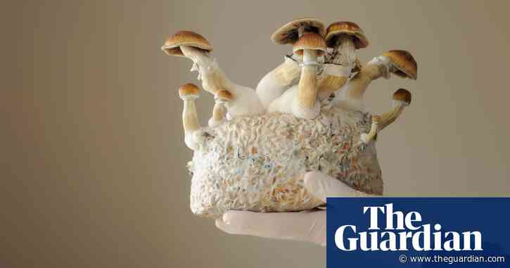 Magic mushrooms’ psilocybin may help heavy drinkers cut back