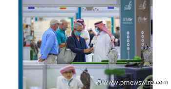 Saudi Falcons Club: Los amantes de los halcones, locales e internacionales, avivan las expectativas frente a la subasta internacional de halcones más grande del mundo