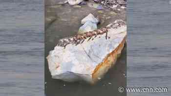 Man makes rare discovery while fishing