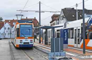 Sommerinterview mit der SPD in Eppelheim: Bildung und Ehrenamt sind essenziell - Eppelheim - Nachrichten und Informationen - Schwetzinger Zeitung
