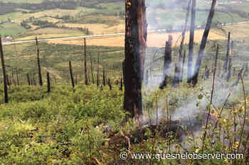 B.C. wildfires: Lightning continues to spark fresh blazes - Quesnel - Cariboo Observer