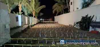 Resguarda 340 nidos en el Campeonato Tortuguero de Manzanillo - colimanoticias