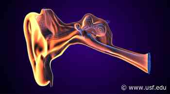 New medical technique to target cause of age-related hearing loss - University of South Florida