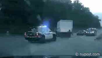 Wild video shows Florida carjacker get hit by police car after sprawling chase - New York Post