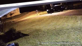 Police chief: Second suspect captured without incident - Mississippi's Best Community Newspaper | Mississippi's Best Community Newspaper - Natchez Democrat