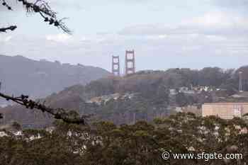 Video shows Marin police officer dropping homeless person off in SF - SFGATE