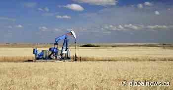 Prairie provinces leading on economic growth: report