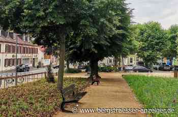 Der Heppenheimer FDP gefällt der umgestaltete Stadtpark nicht - Heppenheim - Nachrichten und Informationen - Bergsträßer Anzeiger