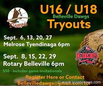 Belleville Dawgs want players - Quinte News