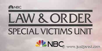 One Big Star Is Leaving 'Law & Order: SVU' After Season 24