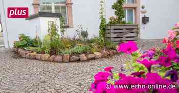 Blumen und Obstwerben für ein grünes Lampertheim - Echo Online