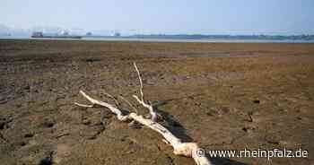 Strommangel in China bringt deutsche Firmen ins Schwitzen - Wirtschaft - Rheinpfalz.de