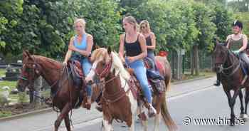 Paarden Rally bij 't Paardengedoe - Het Laatste Nieuws
