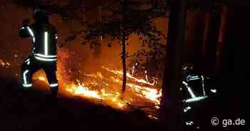 Neunkirchen-Seelscheid - Feuerwehr verhindert größeren Waldbrand - General-Anzeiger Bonn