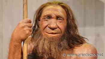 Archäologie : Neanderthal Museum in Mettmann zeigt „die liebe Verwandtschaft“ - GrenzEcho.net