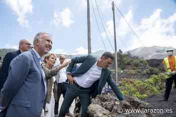 Sánchez votará de forma telemática desde Ecuador - La Razón