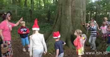 Kom op ontdekkingstocht in het Kabouterbos | Tielt-Winge | hln.be - Het Laatste Nieuws
